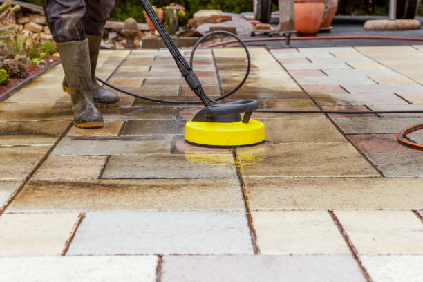 Best Animal Enclosure Cleaning  in Graysville, TN
